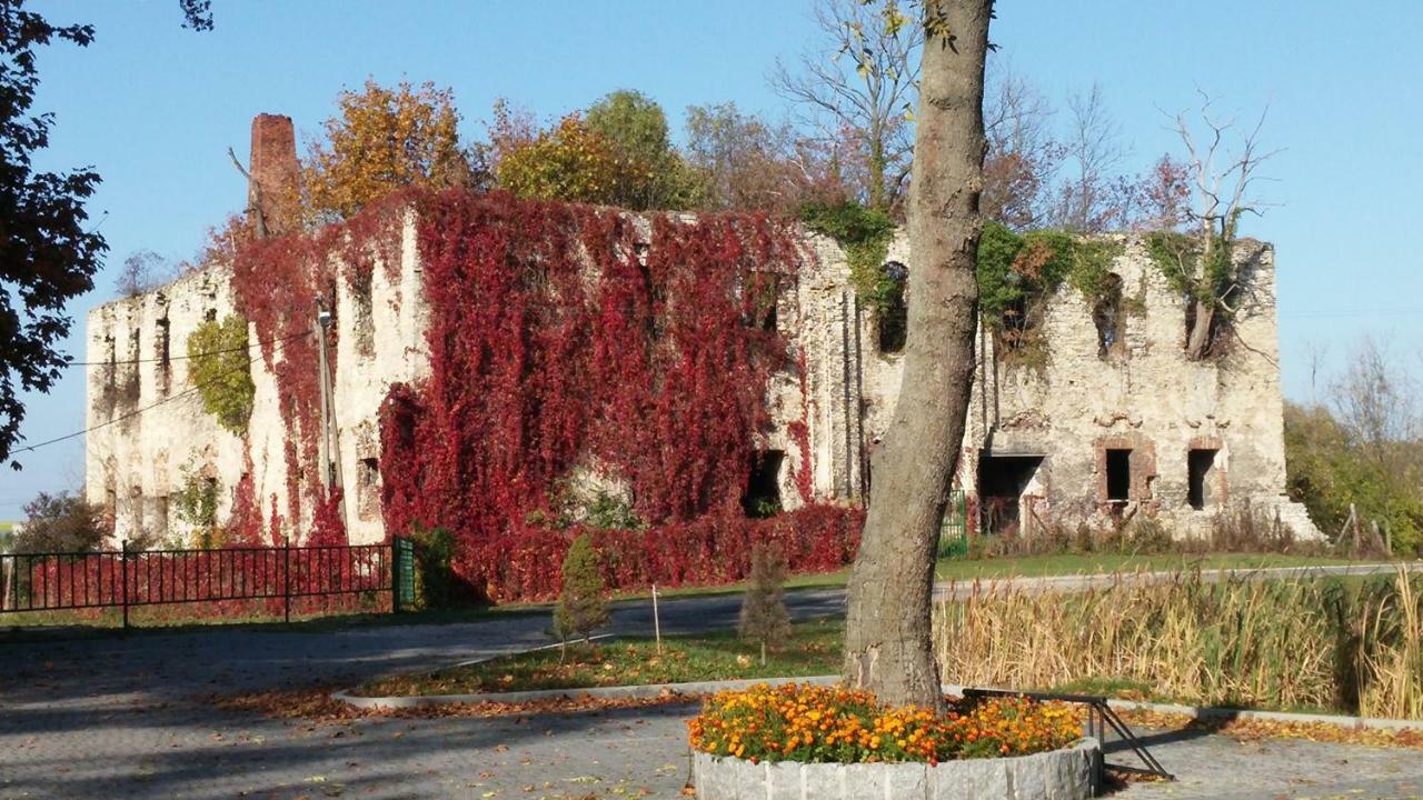 Zakrzów Palac Lucja Bb מראה חיצוני תמונה