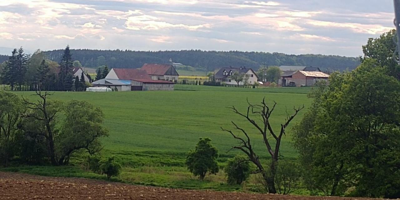 Zakrzów Palac Lucja Bb מראה חיצוני תמונה
